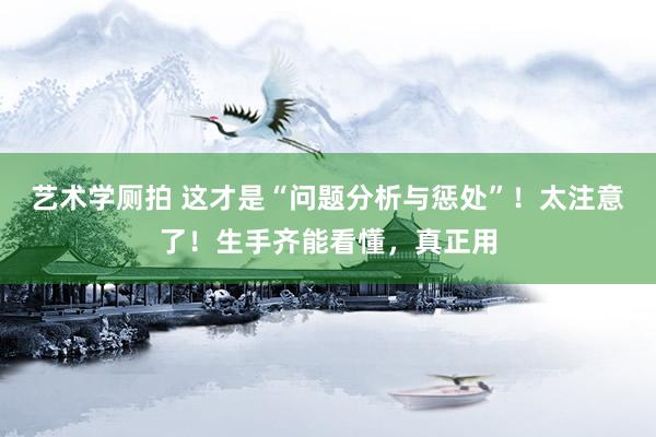 艺术学厕拍 这才是“问题分析与惩处”！太注意了！生手齐能看懂，真正用