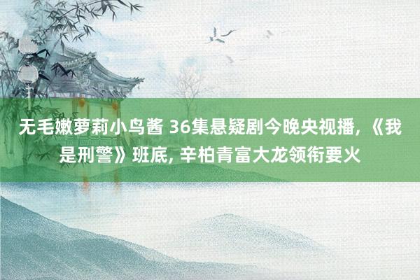 无毛嫩萝莉小鸟酱 36集悬疑剧今晚央视播， 《我是刑警》班底， 辛柏青富大龙领衔要火