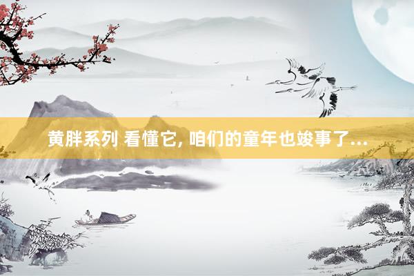 黄胖系列 看懂它， 咱们的童年也竣事了...